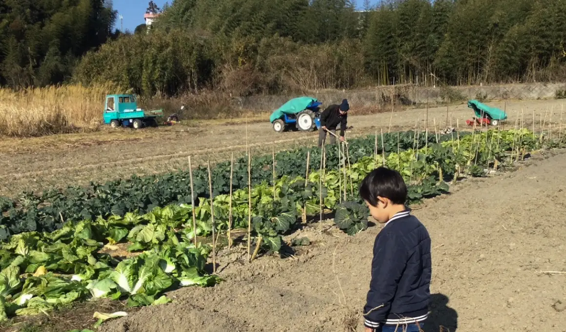 なにぬね農園のイメージ写真