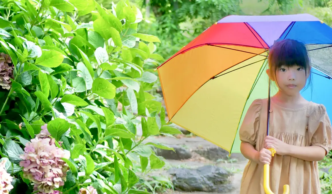 まみむめモーメントのイメージ写真